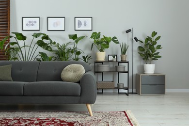 Photo of Cozy room interior with stylish furniture, houseplants and decor elements