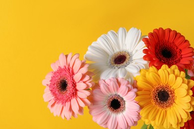 Photo of Bouquet of beautiful colorful gerbera flowers on yellow background