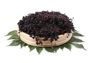 Photo of Wicker basket with ripe elderberries and green leaves on white background