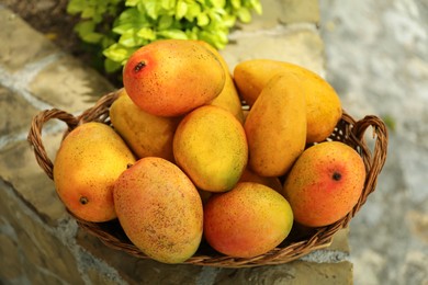 Delicious fresh ripe mangos in basket outdoors