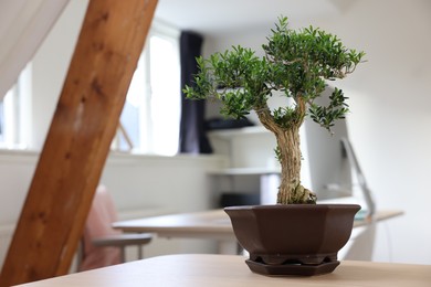 Photo of Beautiful bonsai tree in pot on wooden table indoors, space for text