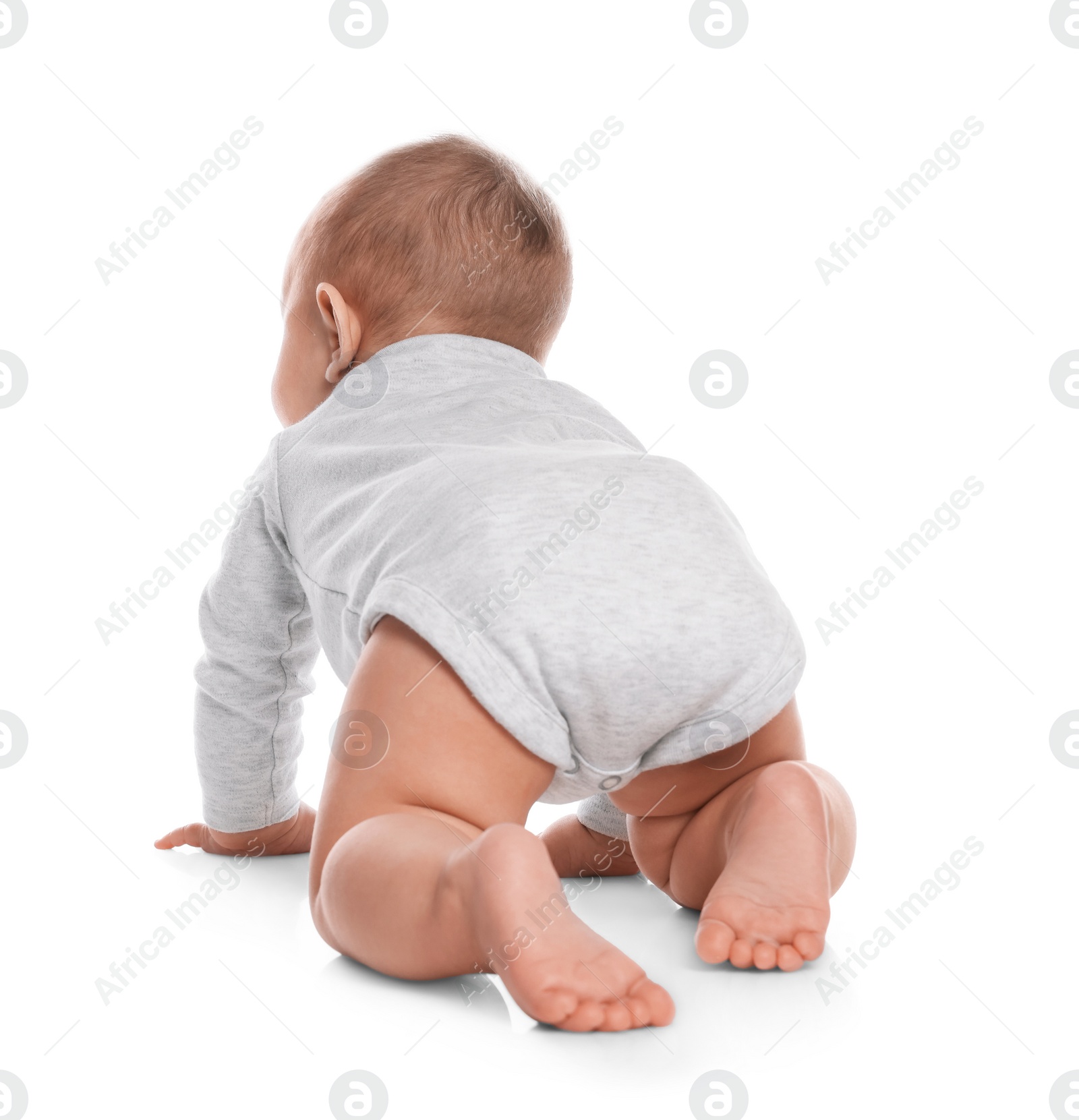 Photo of Cute little baby crawling on white background, back view