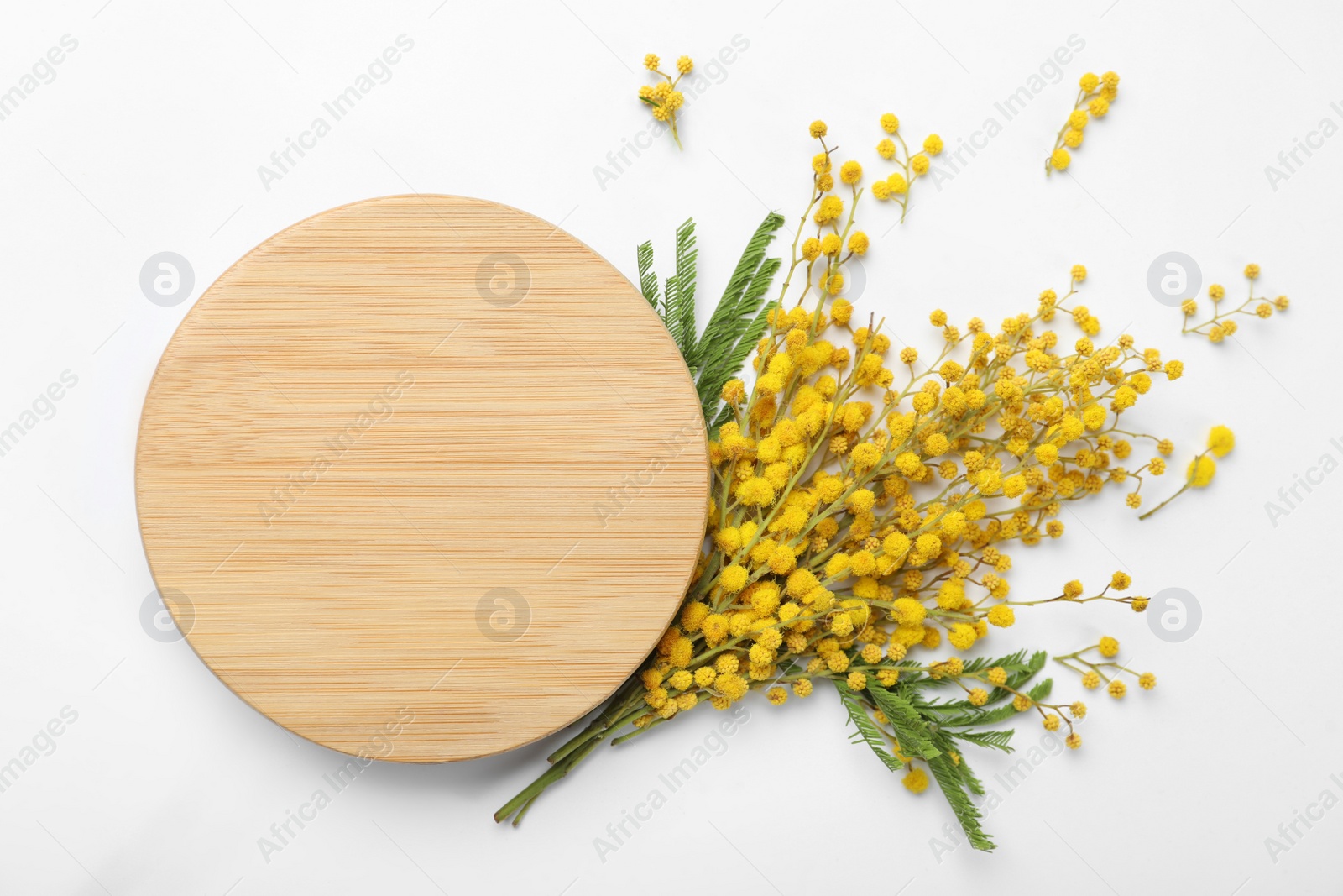 Photo of Beautiful mimosa flowers and wooden board on white background, flat lay. Space for text