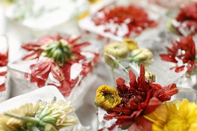 Melting ice cubes with different flowers, closeup