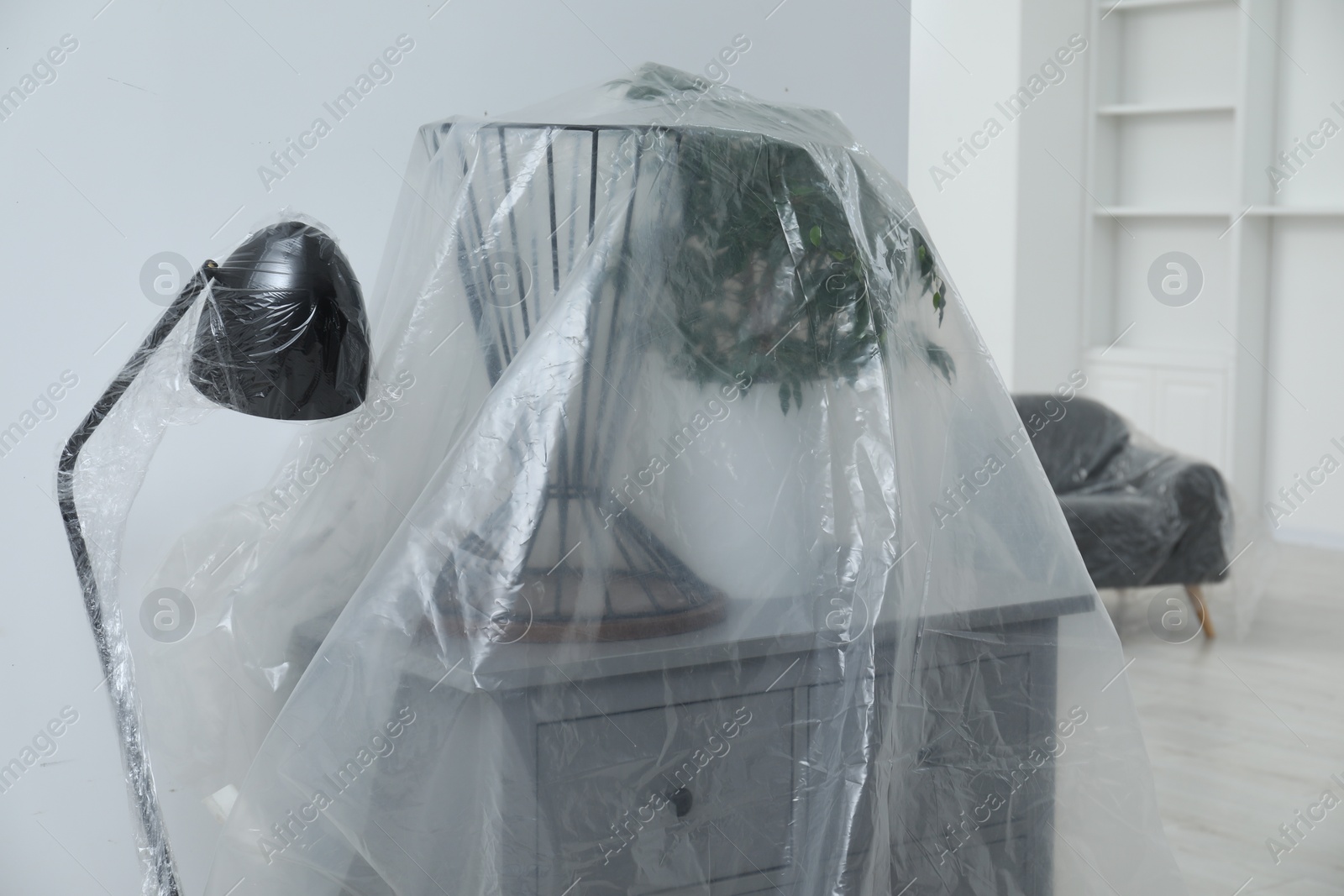 Photo of Modern furniture, houseplant covered with plastic film and boxes at home