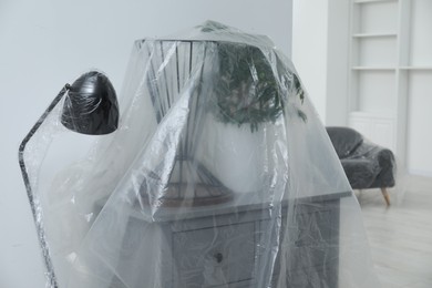 Modern furniture, houseplant covered with plastic film and boxes at home
