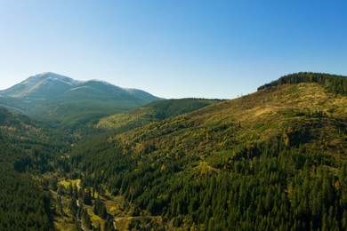 Image of Beautiful mountains and forest on sunny day. Drone photography