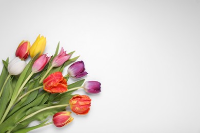 Photo of Beautiful colorful tulip flowers on white background, flat lay. Space for text