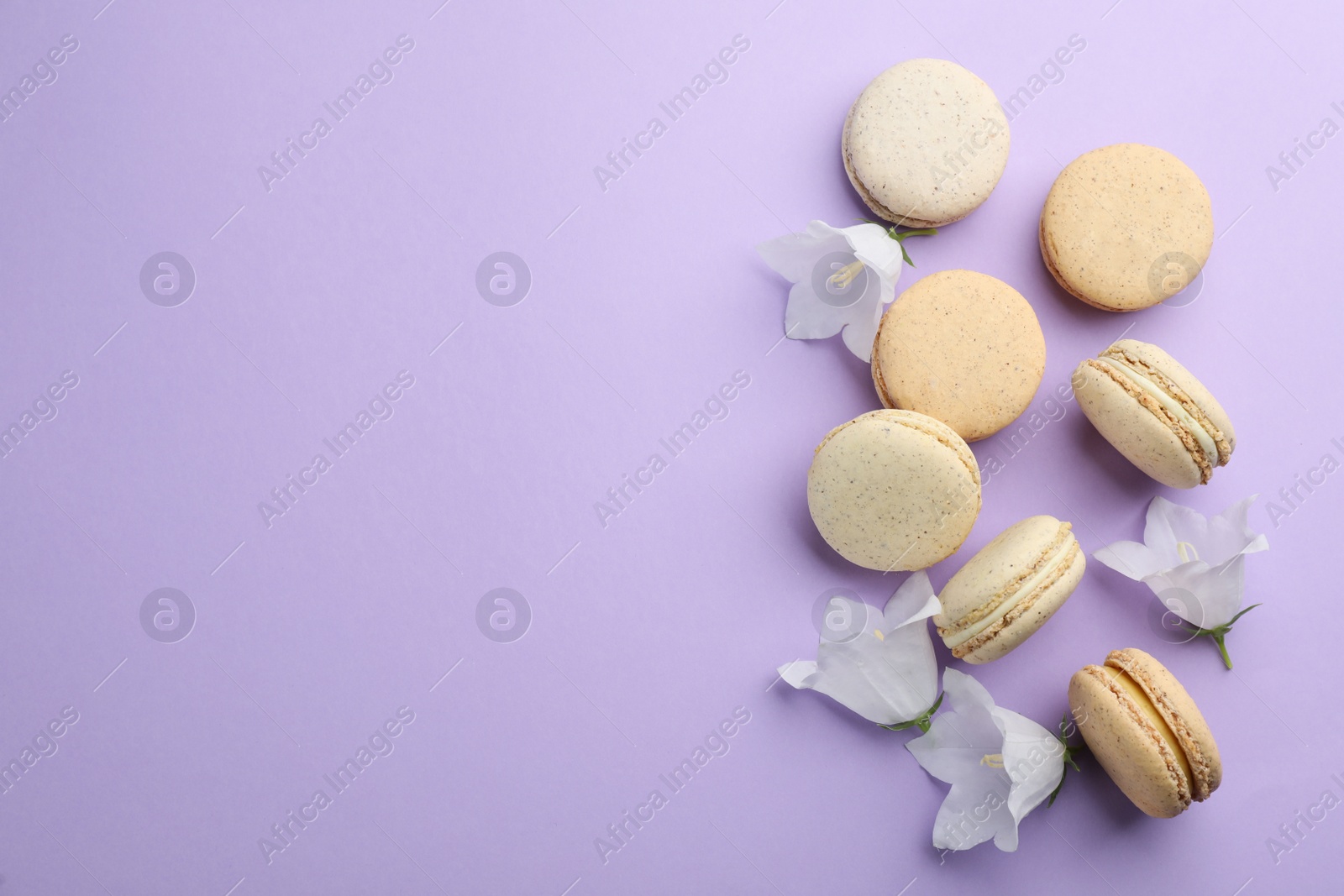 Photo of Delicious macarons and white bellflowers on violet background, flat lay. Space for text