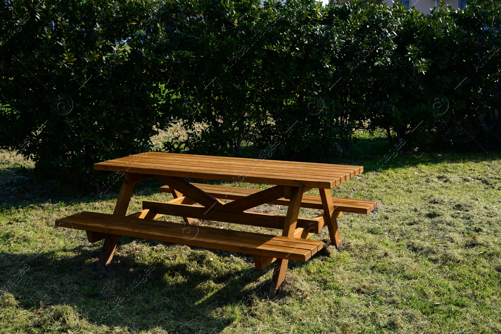 Photo of Empty wooden picnic table with benches in park on sunny day