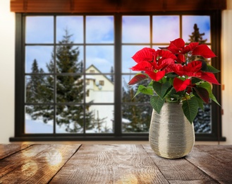 Christmas traditional poinsettia flower in pot on table near window. Space for text