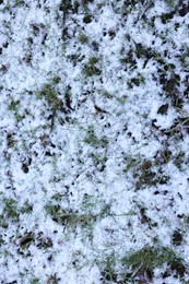 Photo of Green grass covered with snow outdoors, top view