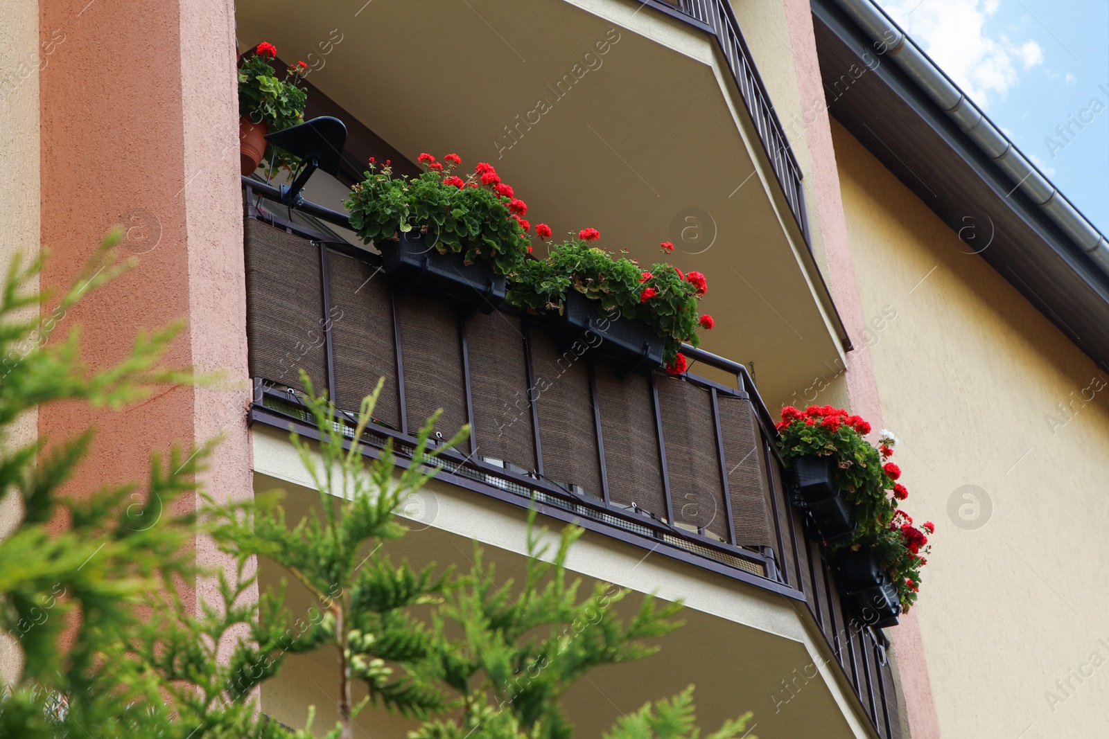 Photo of Balcony decorated with beautiful red flowers, low angle view
