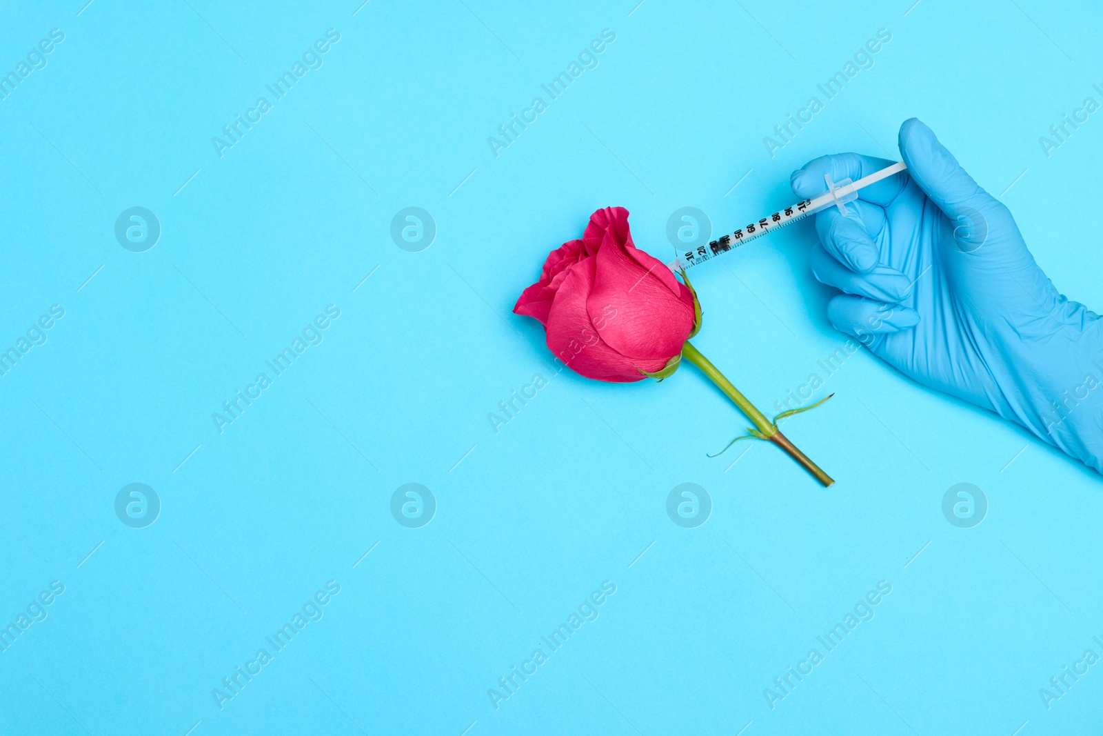 Photo of Doctor making injection to rose on light blue background, top view. Space for text