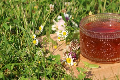 Photo of Ornate glass cup of tea, different wildflowers and herbs on wooden board in meadow, closeup. Space for text