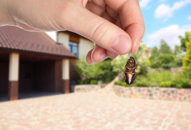 Woman holding dead cockroach and blurred view of modern house on background. Pest control