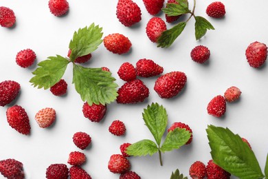 Many fresh wild strawberries and leaves on white background, flat lay