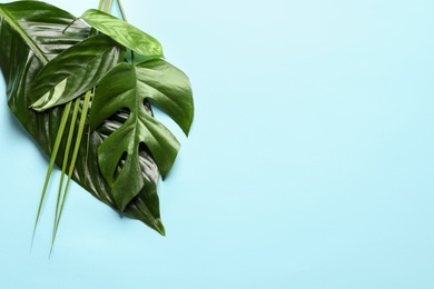 Photo of Different tropical leaves on color background, top view