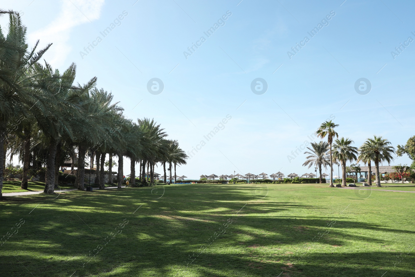 Photo of Beautiful landscape with beach umbrellas at tropical resort on sunny day