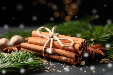 Different spices and fir tree branches on dark table, closeup. Cinnamon, anise, cardamom, nutmegs