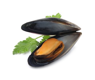 Photo of Delicious cooked mussel in shell with parsley on white background