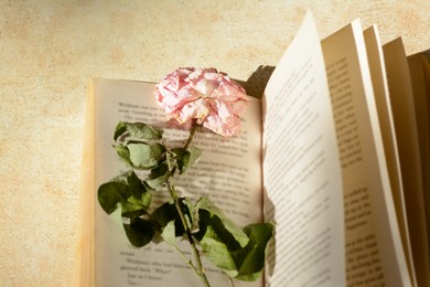 Photo of Book with beautiful dried flower on light table, above view