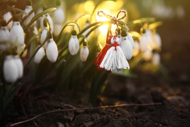 Fresh blooming snowdrops and traditional martisor outdoors. Spring flowers