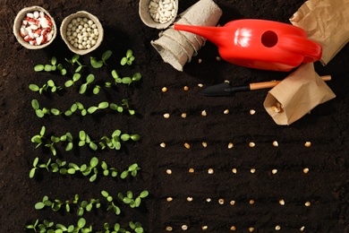 Photo of Gardening tools, corn seeds and vegetable seedlings in fertile soil, flat lay