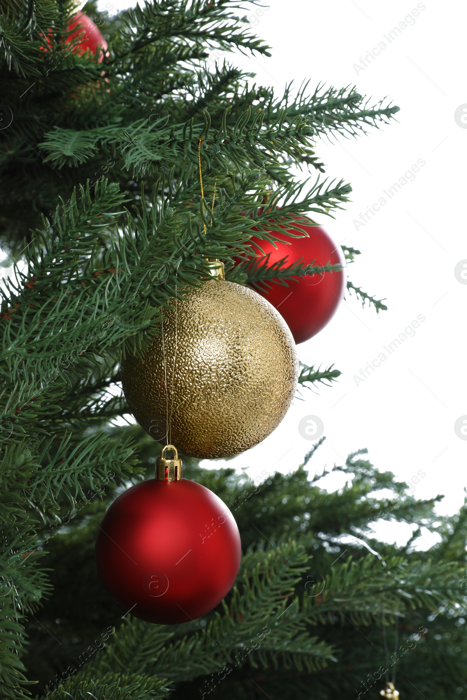 Photo of Beautiful Christmas tree with shiny baubles on white background, closeup