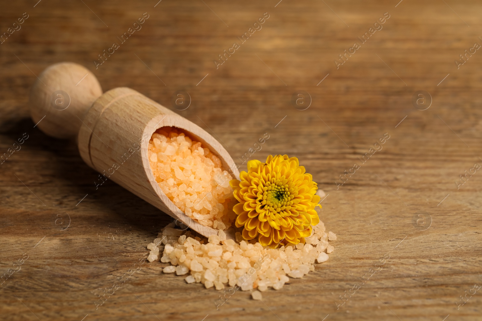 Photo of Scoop with orange sea salt and beautiful flower on wooden table. Space for text