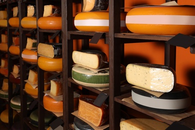 Different types of delicious cheeses on rack in store