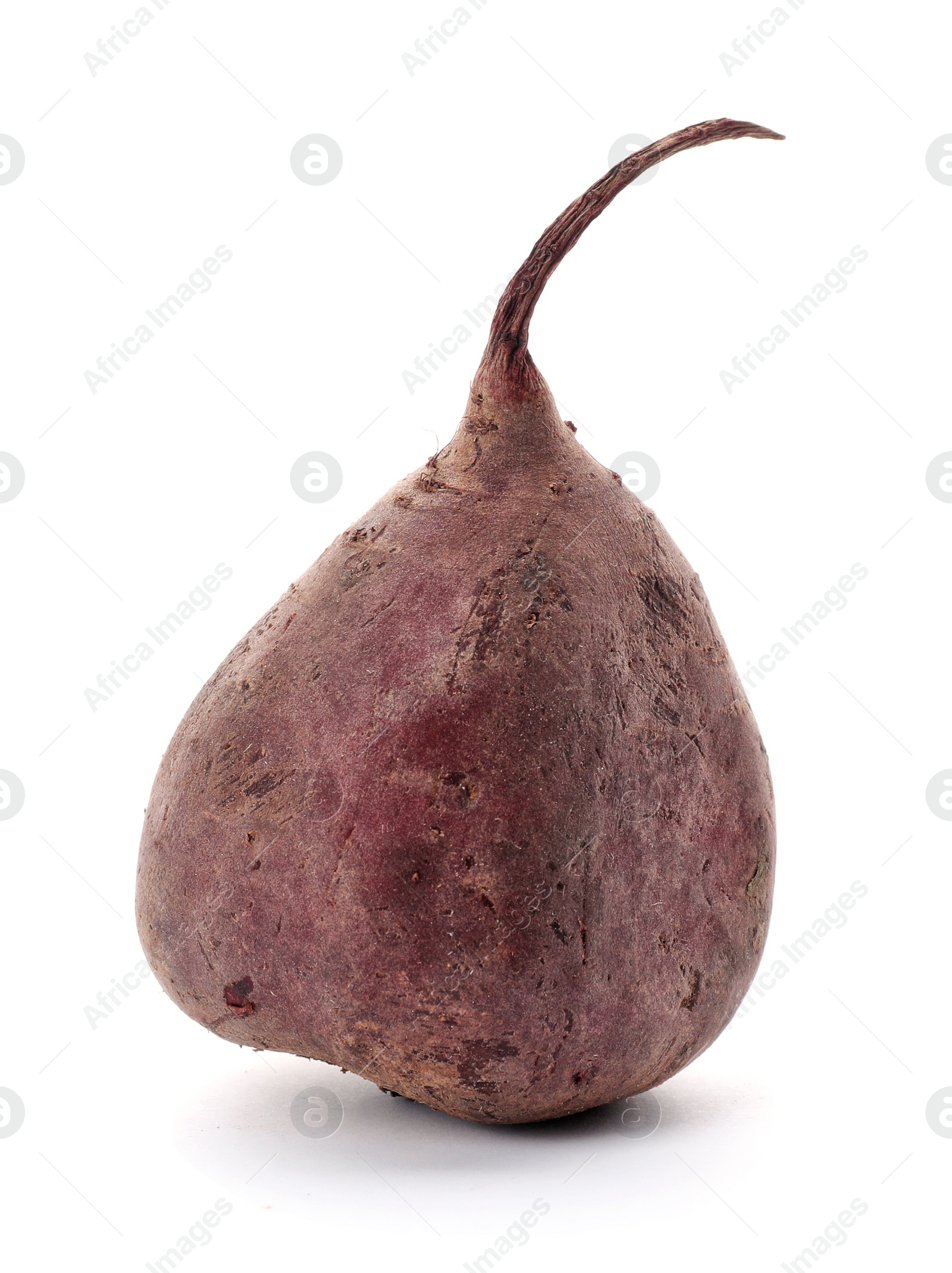 Photo of Organic beet on white background. Taproot vegetable