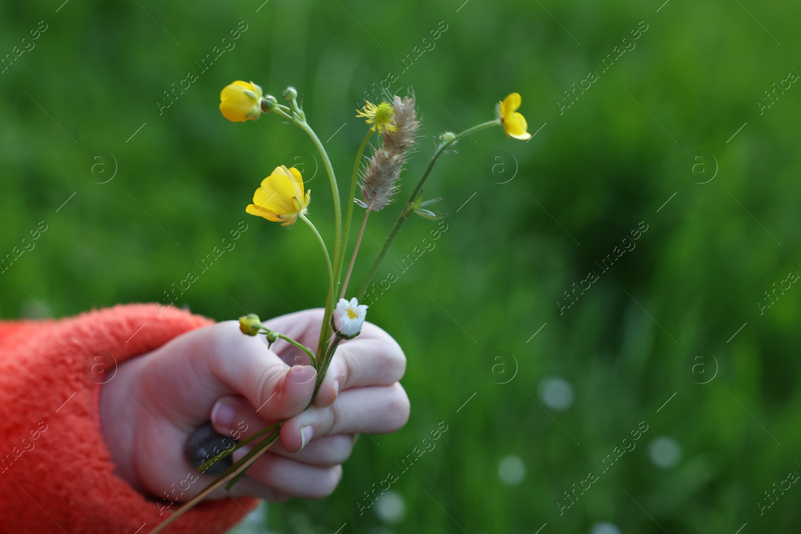 Photo of Girl with beautiful wild flower outdoors, closeup. Space for text