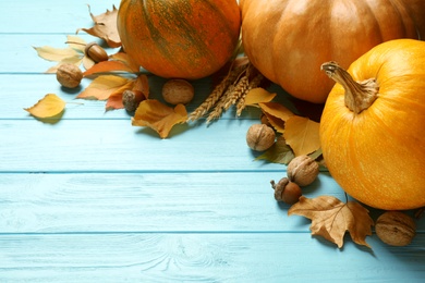 Photo of Ripe pumpkins on blue wooden background, space for text. Holiday decoration