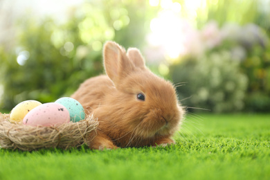 Photo of Adorable fluffy bunny and decorative nest with Easter eggs on green grass, closeup