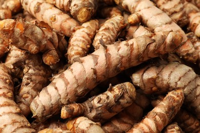 Many raw turmeric rhizomes as background, closeup