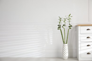 Photo of Vase with green bamboo stems near chest of drawers in room, space for text. Interior design