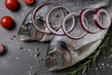 Fresh dorado fish, onion, rosemary and tomatoes on grey table, above view