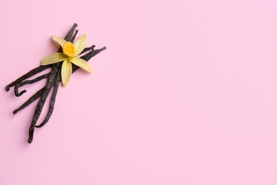 Photo of Flat lay composition with vanilla sticks and flower on pink background. Space for text