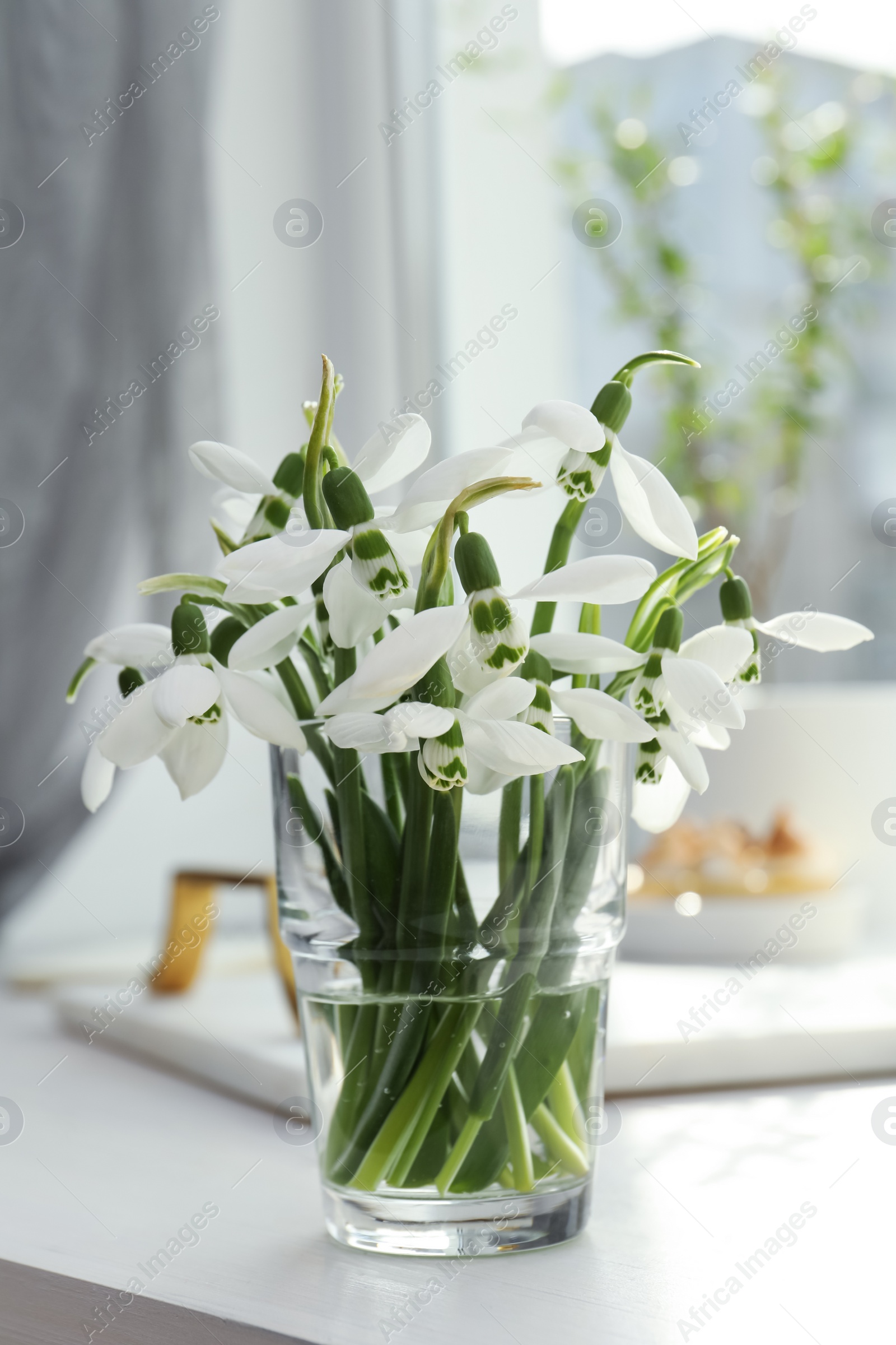 Photo of Beautiful snowdrops in vase on white table