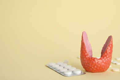 Photo of Plastic model of healthy thyroid and pills on beige background, space for text