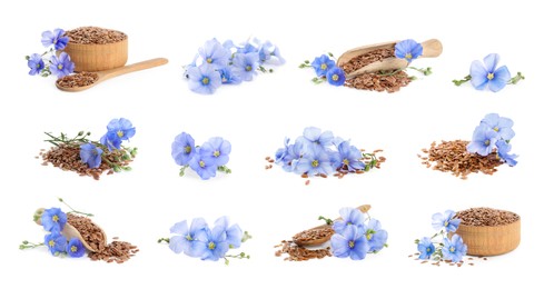 Set with flax seeds and flowers on white background