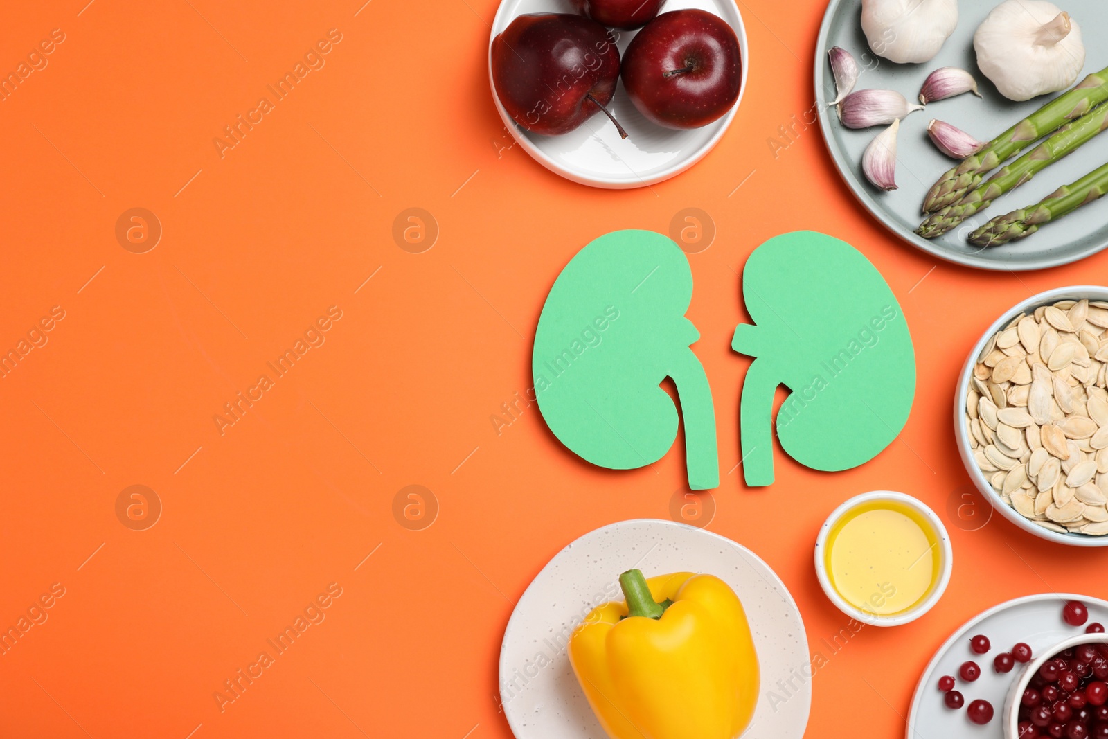 Photo of Paper cutout of kidneys and different healthy products on orange background, flat lay. Space for text