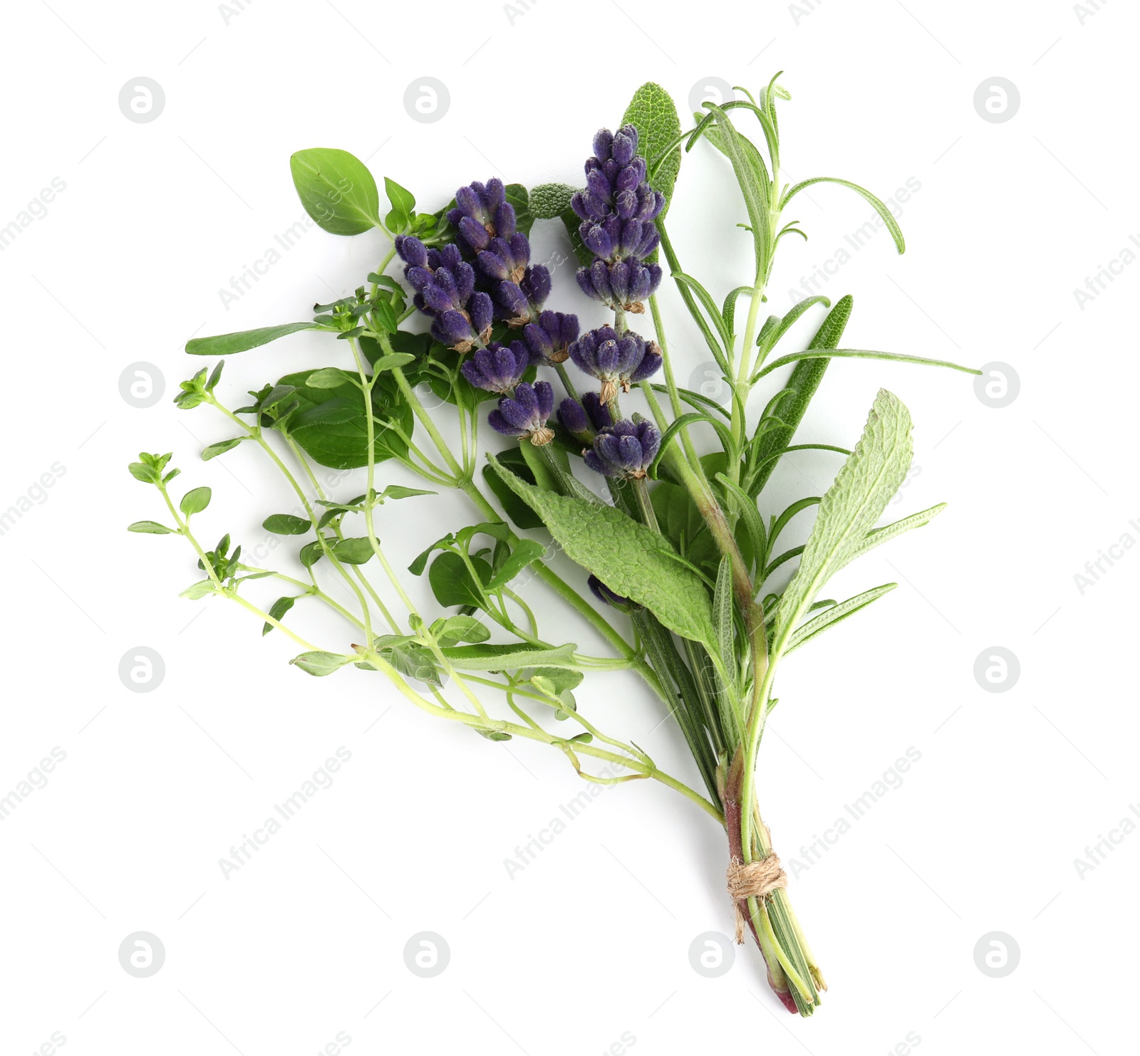 Photo of Bunch of fresh aromatic herbs on white background, top view