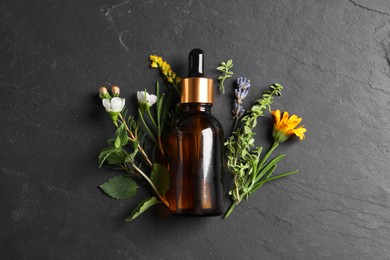 Photo of Bottle of essential oil, different herbs and flowers on black table, flat lay