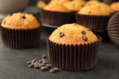 Photo of Delicious freshly baked muffins with chocolate chips on gray table, closeup