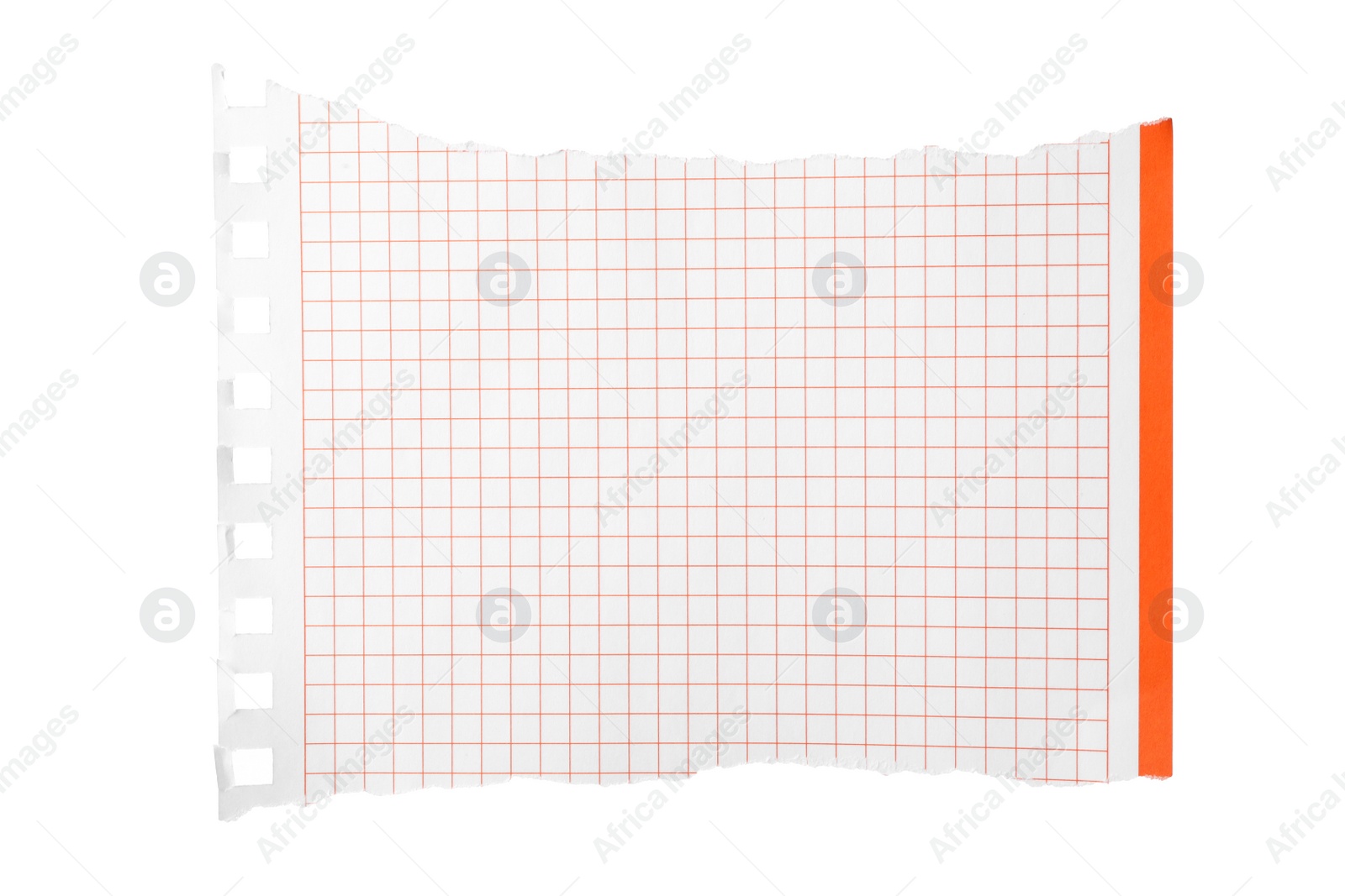 Photo of Piece of blank notebook paper isolated on white. Space for design