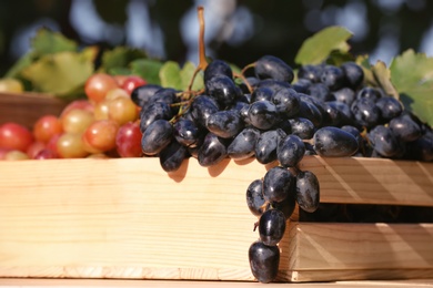 Photo of Fresh ripe juicy grapes in wooden crate against blurred background