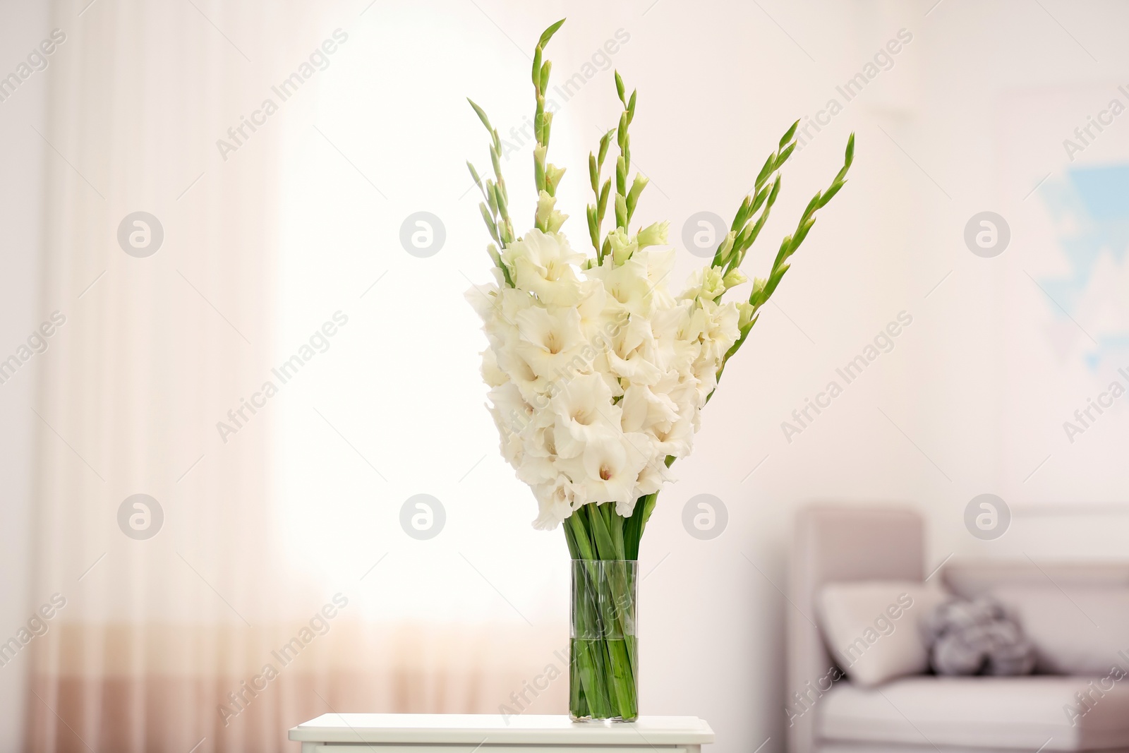 Photo of Vase with beautiful white gladiolus flowers on wooden table in room, space for text