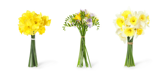 Set with freesia and daffodils flowers on white background. Banner design
